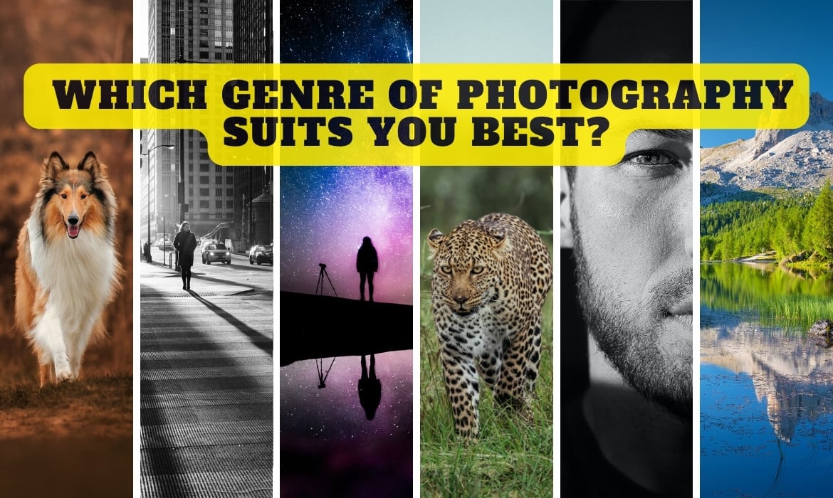 Photography Genre Quiz
